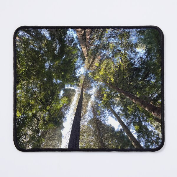 Item preview, Trees View Photo! designed and sold by S-J-.