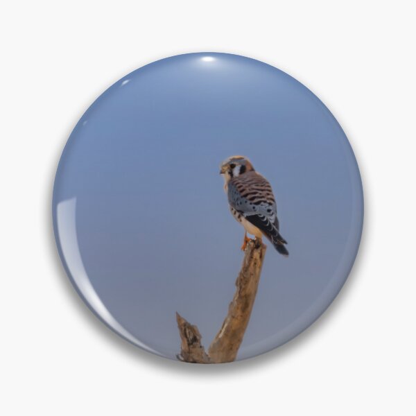 Item preview, American Kestrel On A Snag  designed and sold by Debra Martz.