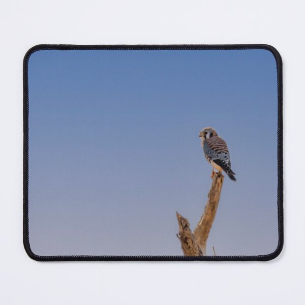 Item preview, American Kestrel On A Snag designed and sold by Debra Martz.