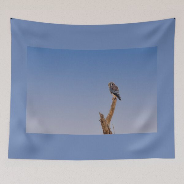 Item preview, American Kestrel On A Snag  designed and sold by Debra Martz.