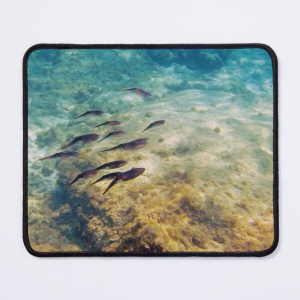 Item preview, Caribbean Reef Squid in Oils designed and sold by Kasia Design.