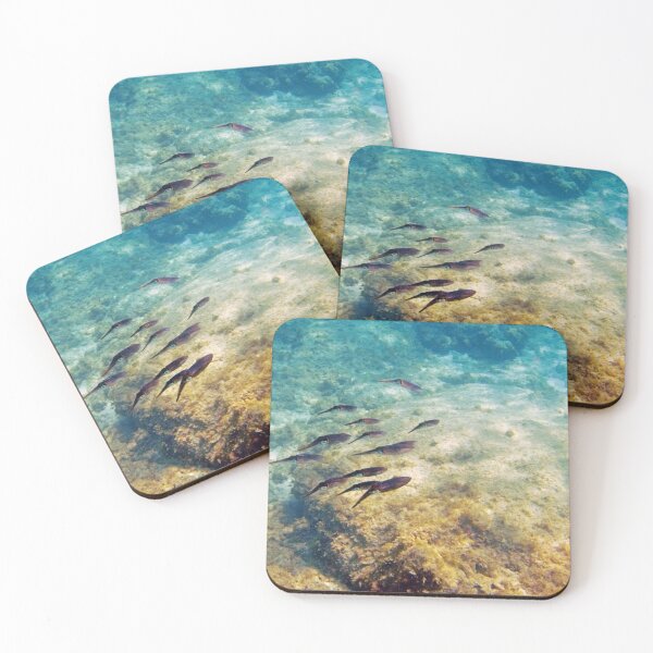 Item preview, Caribbean Reef Squid designed and sold by Kasia Design.