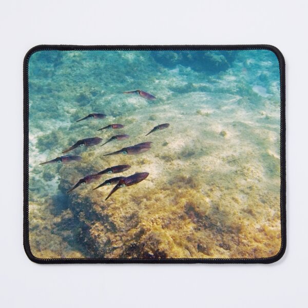 Item preview, Caribbean Reef Squid designed and sold by Kasia Design.