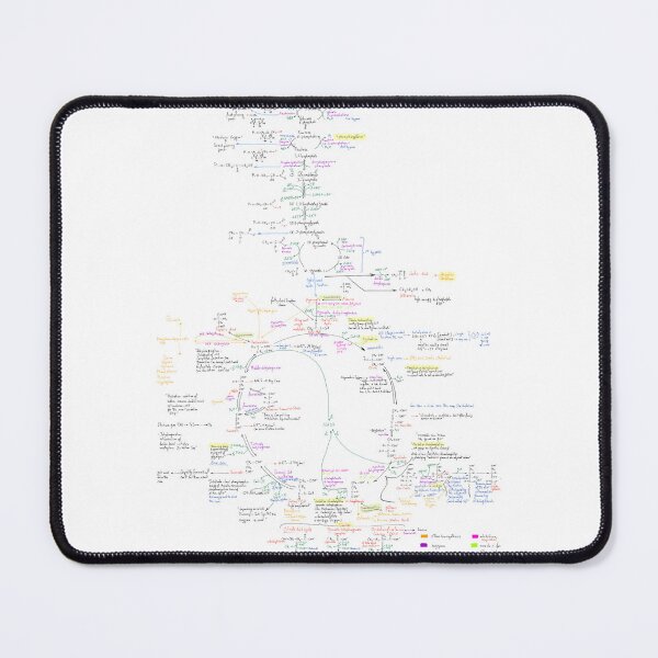 Item preview, Gluconeogenesis | Glycolysis | Biochemistry | Biology | Chemistry | Medicine | Digital Notes | Science designed and sold by Envisionaries1.