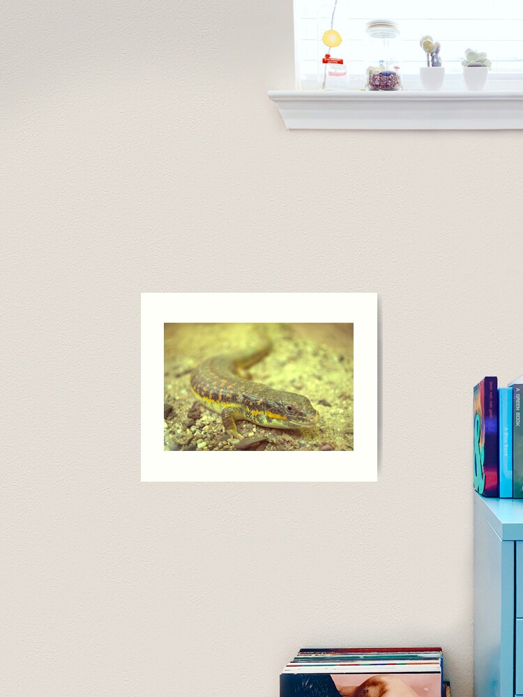Thumbnail 2 of 3, Art Print, Little dragon 7 designed and sold by steppeland.