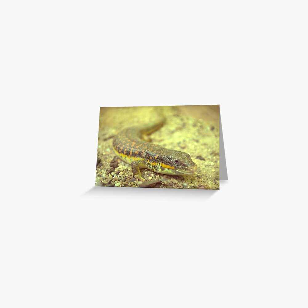Item preview, Greeting Card designed and sold by steppeland.