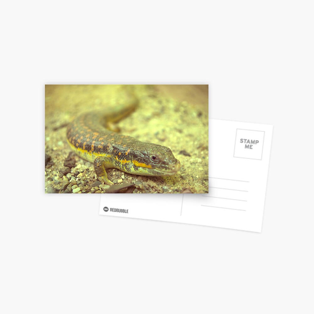 Item preview, Postcard designed and sold by steppeland.