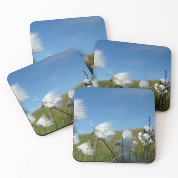 Item preview, cotton grass in Ireland designed and sold by KleineChaotin.