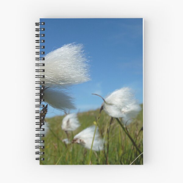 Item preview, cotton grass in Ireland designed and sold by KleineChaotin.