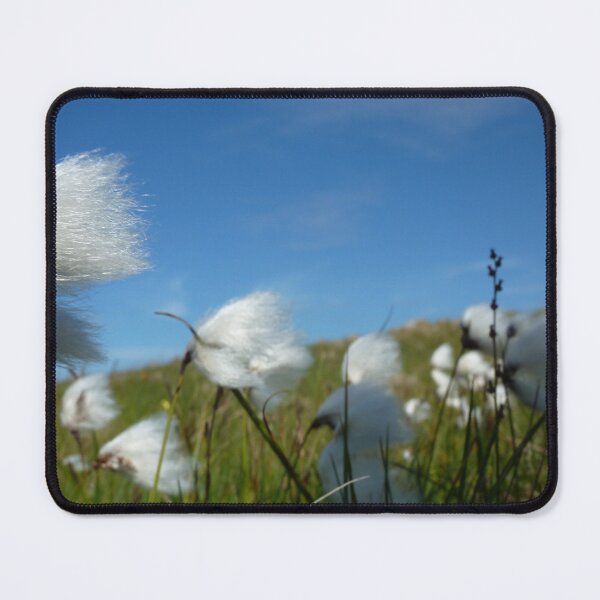 Item preview, cotton grass in Ireland designed and sold by KleineChaotin.
