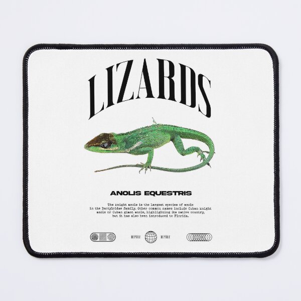 Item preview, Cuban Knight Anole Reptile Keeper Lizard designed and sold by JRRTs.