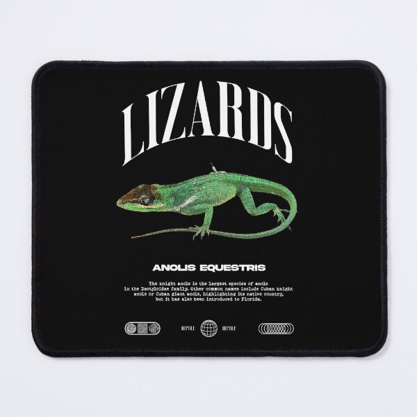 Item preview, Cuban Knight Anole Reptile Keeper Lizard designed and sold by JRRTs.