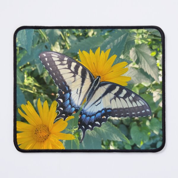 Item preview, Swallowtail Butterfly designed and sold by Lsteuart.