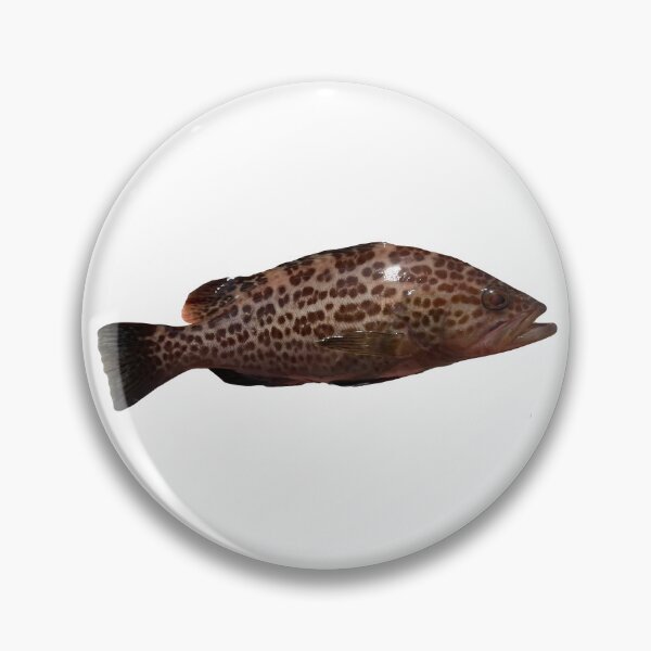 Item preview, Scamp grouper  designed and sold by crabfriedrice.