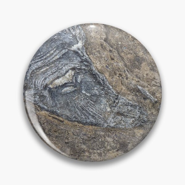 Item preview, fossils designed and sold by KleineChaotin.