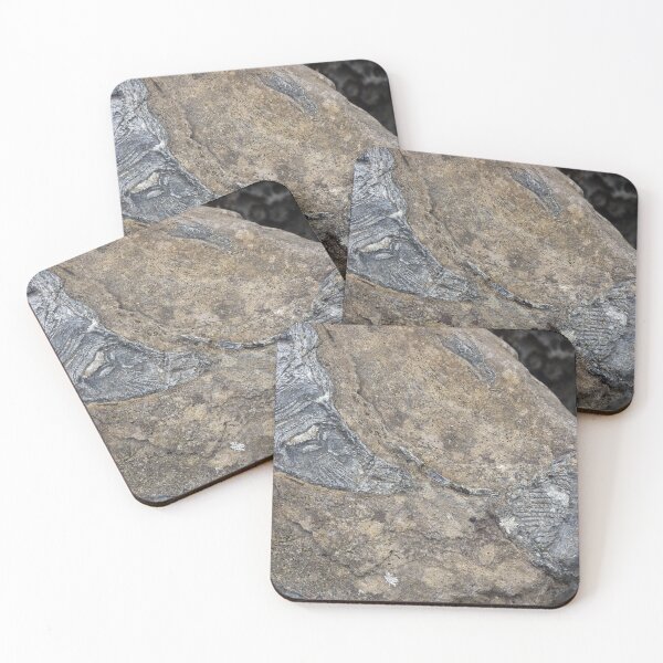 Item preview, fossils designed and sold by KleineChaotin.