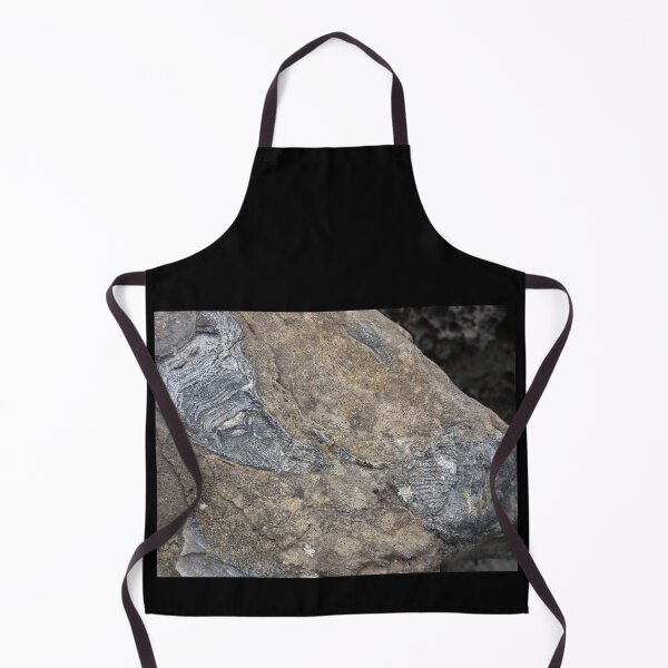 Item preview, fossils designed and sold by KleineChaotin.