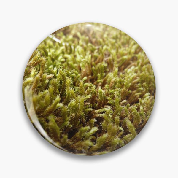 Item preview, moss designed and sold by KleineChaotin.