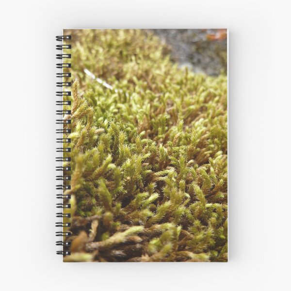 Item preview, moss designed and sold by KleineChaotin.