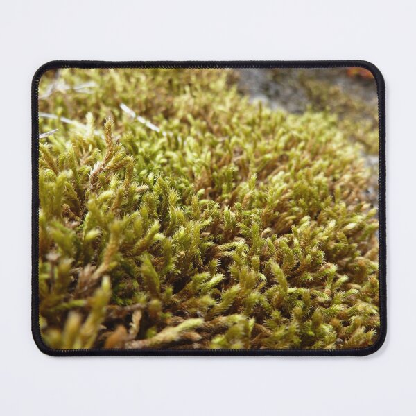 Item preview, moss designed and sold by KleineChaotin.