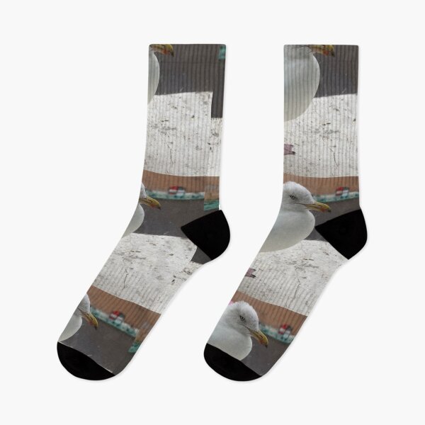 Item preview, herring gull on a window ledge designed and sold by pinkal.