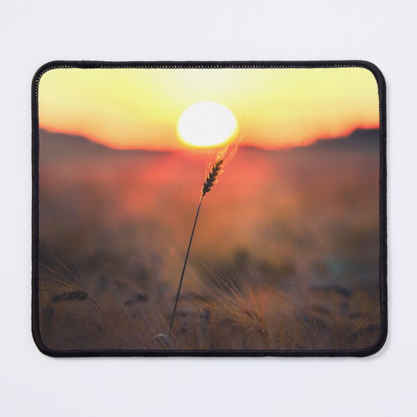 Item preview, Wheatfield designed and sold by Márk Borbély Photography.