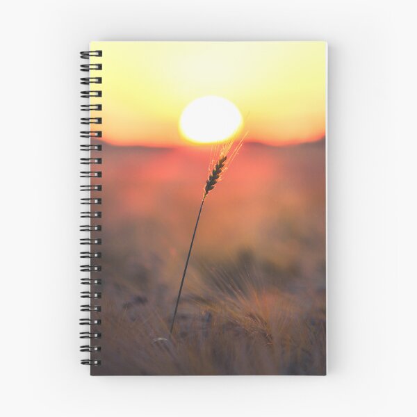 Item preview, Wheatfield designed and sold by Márk Borbély Photography.
