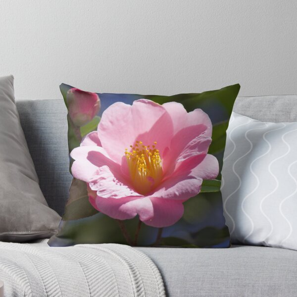 Aperçu de l'œuvre Fard à joues rose créée et vendue par Lsteuart.