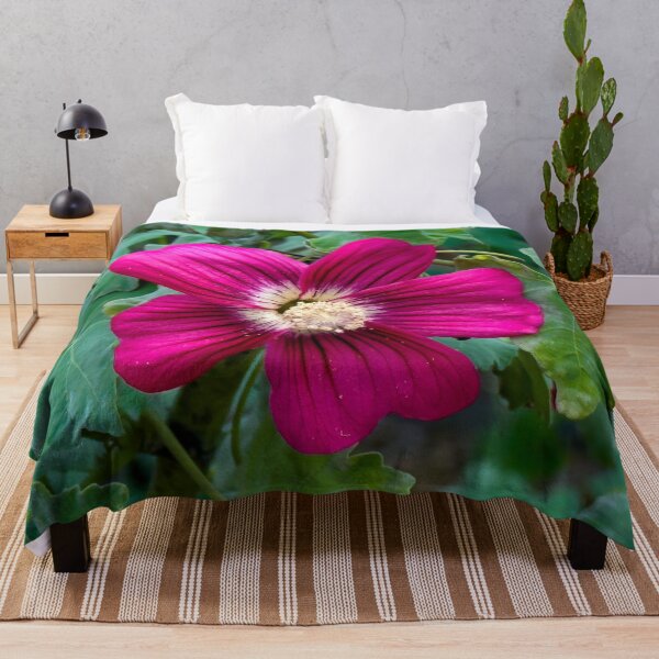 Item preview, Magenta Purple Flower at Channel Islands, California designed and sold by SafariByMarisa.