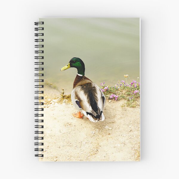 Item preview, Duck in the river park of Cubelles-Barcelona designed and sold by manoloshoping.
