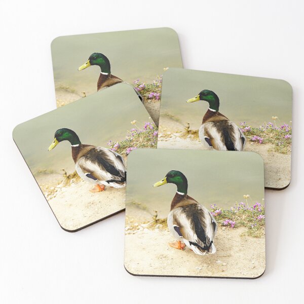 Item preview, Duck in the river park of Cubelles-Barcelona designed and sold by manoloshoping.