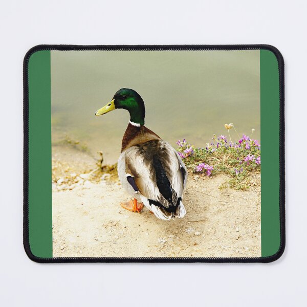 Item preview, Duck in the river park of Cubelles-Barcelona designed and sold by manoloshoping.