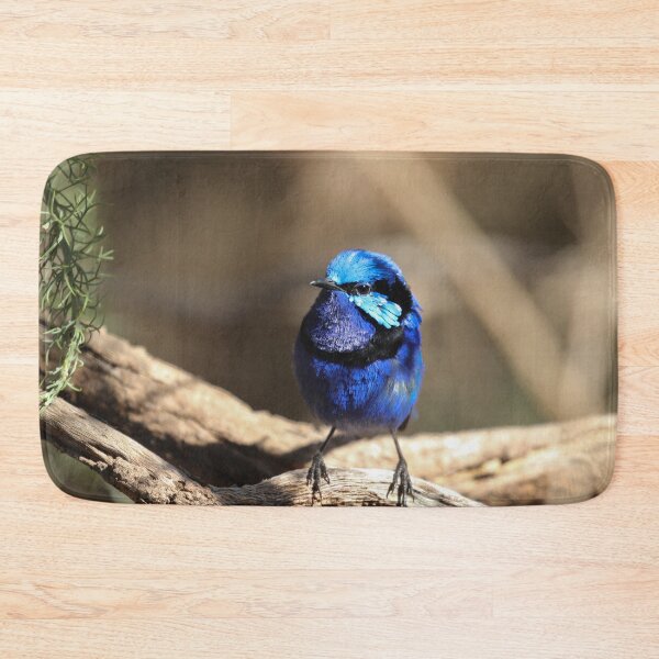 Item preview, Splendid Fairy Wren designed and sold by Coen-87.