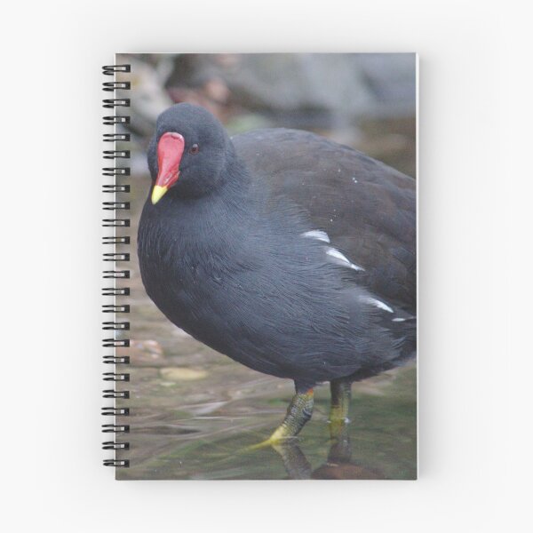 Item preview, Moorhen Stalking designed and sold by Adrian Wale.