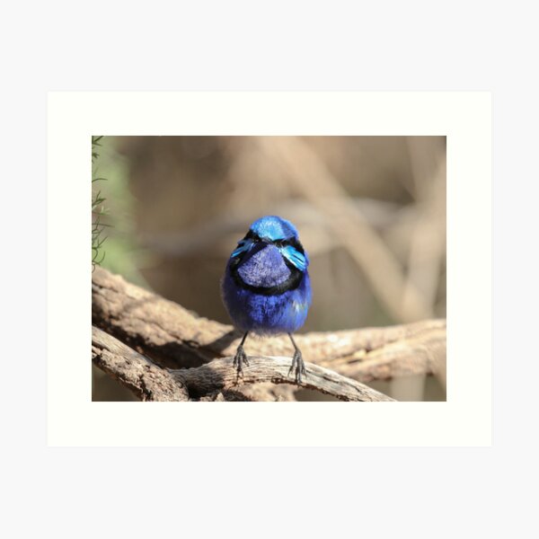 Item preview, true blue designed and sold by Coen-87.
