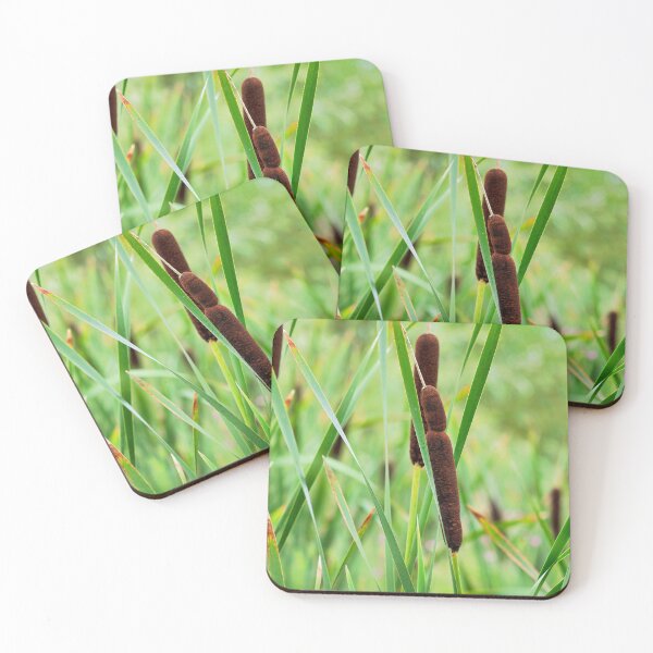 Item preview, Bulrushes Great Reedmace in Autumn designed and sold by Dorset Girl.
