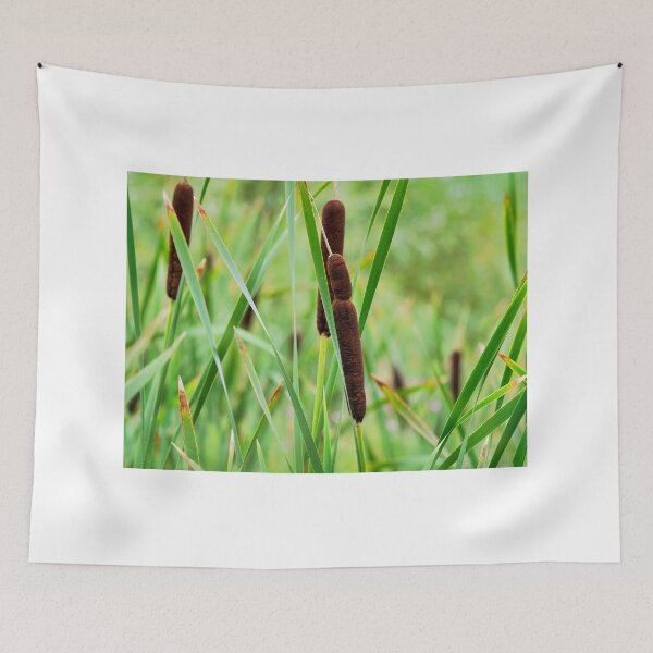 Item preview, Bulrushes Great Reedmace in Autumn designed and sold by Dorset Girl.