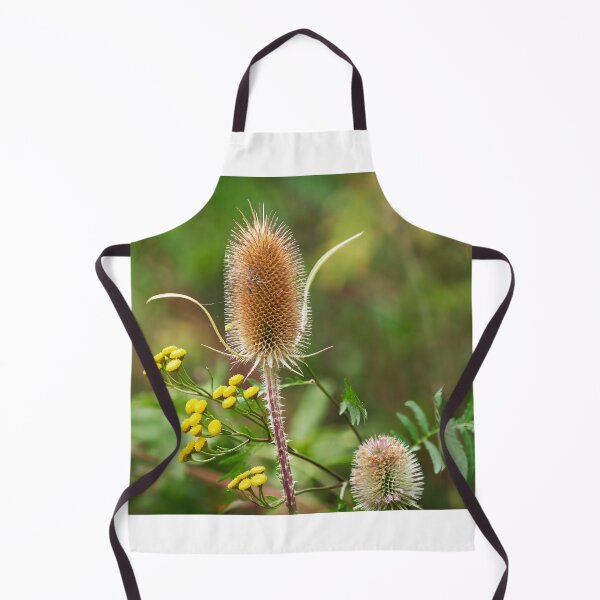 Item preview, Teasel Dipsacus fullonum in Autumn designed and sold by Dorset Girl.