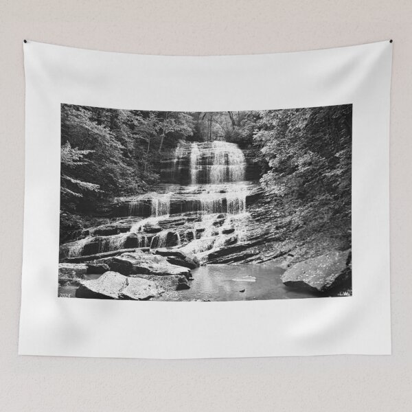 Item preview, Beautiful Pearsons Falls Black And White designed and sold by LisaWootenPhoto.