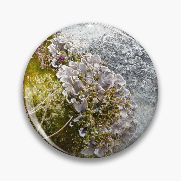 Item preview, hard and soft designed and sold by KleineChaotin.