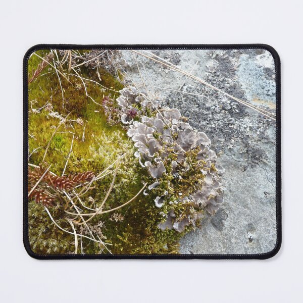 Item preview, hard and soft designed and sold by KleineChaotin.