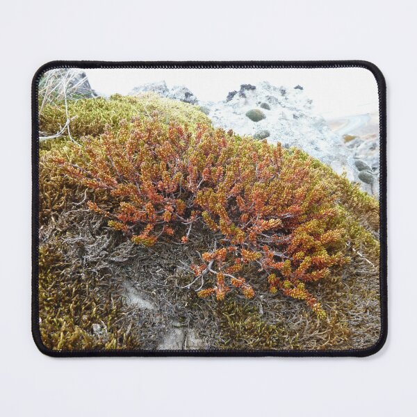 Item preview, Moos mit Aussicht designed and sold by KleineChaotin.