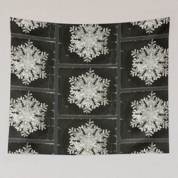 Item preview, Wilson Bentley Photomicrograph of Stellar Snowflake 02 designed and sold by ellenmueller.