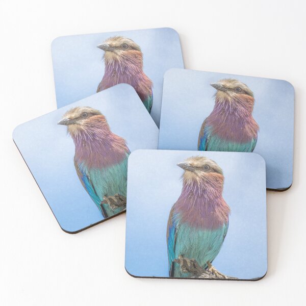 Item preview, Close Up Lilac Breasted Roller designed and sold by PhotoArt by Joan Carroll.
