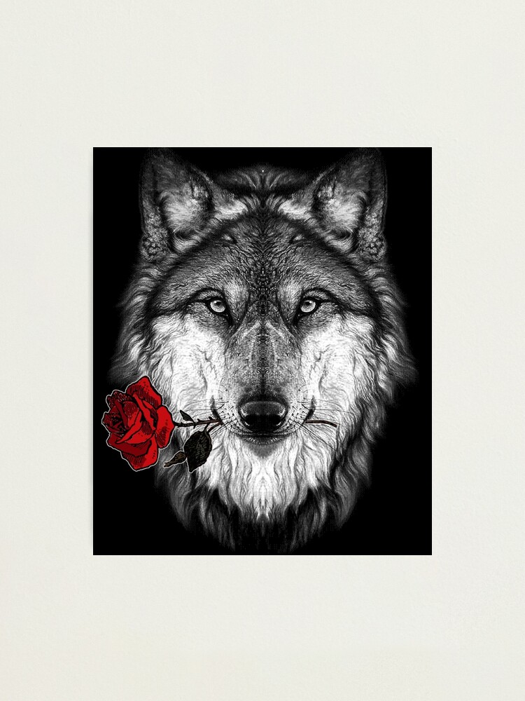 Lámina fotográfica «Lobo y rosa» de HEARTBEATS | Redbubble