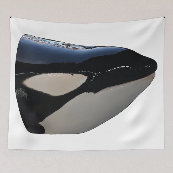 Item preview, Trua Orca designed and sold by tidaldreams.