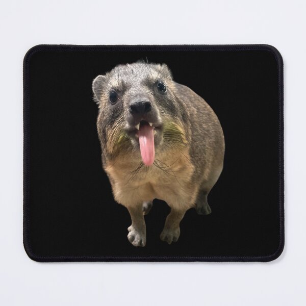 Item preview, Rock Hyrax Tongue Photo - Dassie | Cute Vampire Potato designed and sold by matchakpop.