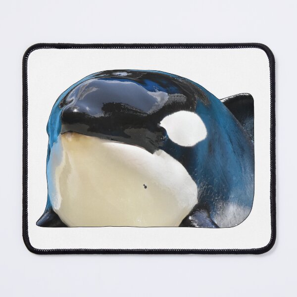 Item preview, Trua Orca designed and sold by tidaldreams.