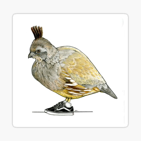 Item preview, Colonel Quail in Fred’s Shoes designed and sold by JimsBirds.
