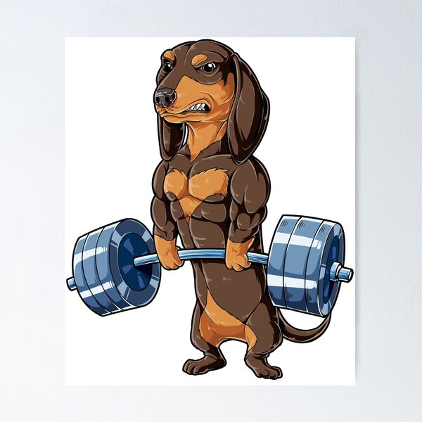Item preview, Dachshund Chocolate Weightlifting Deadlift Gym Fitness Shirt for Men Women Boys Girls Dog Lover Gifts designed and sold by LiqueGifts.